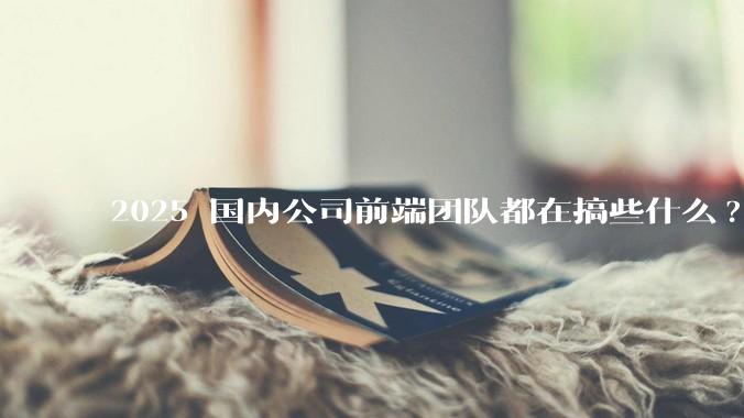2025 国内公司前端团队都在搞些什么?