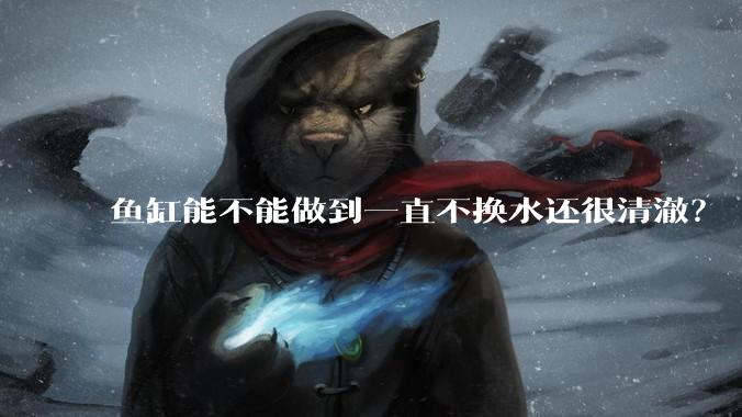 鱼缸能不能做到一直不换水还很清澈？